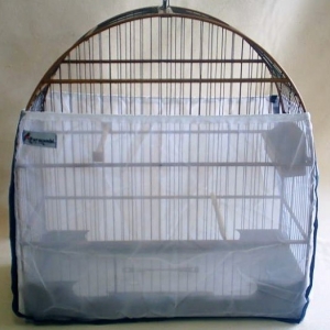 Forro transparente
